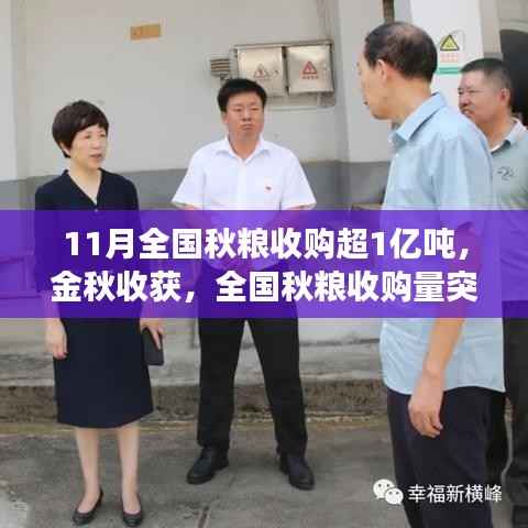 全国秋粮收购突破1亿吨大关,粮食市场蓄势待发