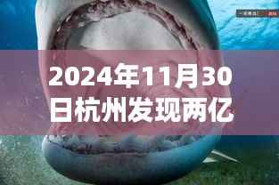 揭秘两亿年前杭州鲨鱼化石,史前海洋霸主现身杭州!