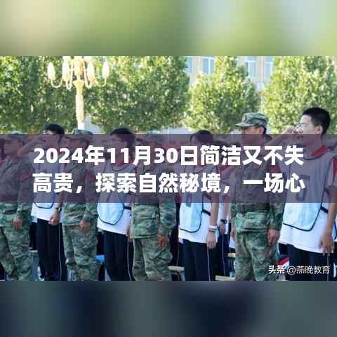 探索自然秘境的心灵之旅,2024年11月30日的优雅漫步