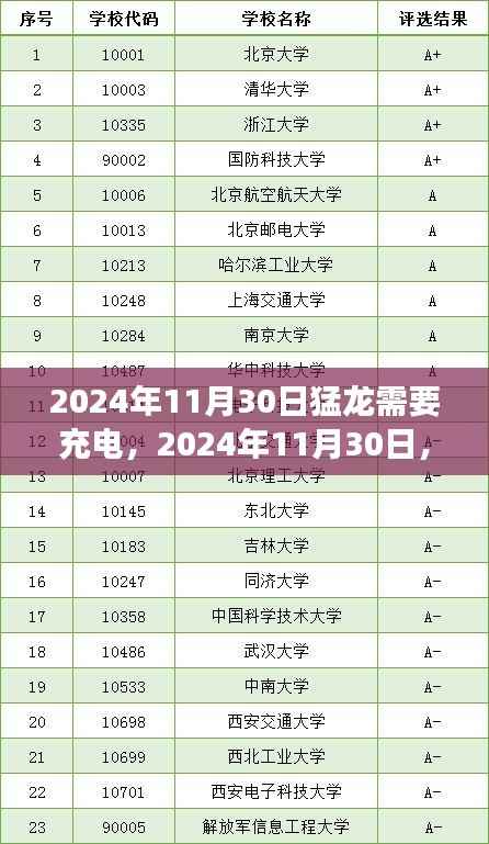 猛龙充电之际，深度解析与案例洞察