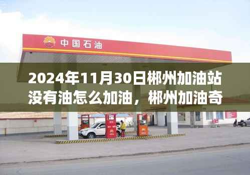 郴州加油奇遇记,应对加油危机的策略与自然美景的邂逅