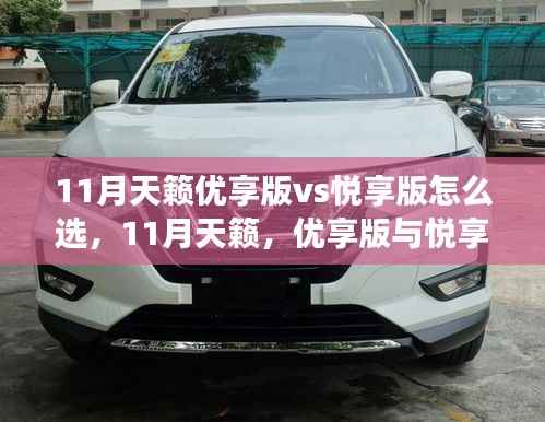 11月天籁优享版与悦享版对比,如何抉择背后的学习与成长故事