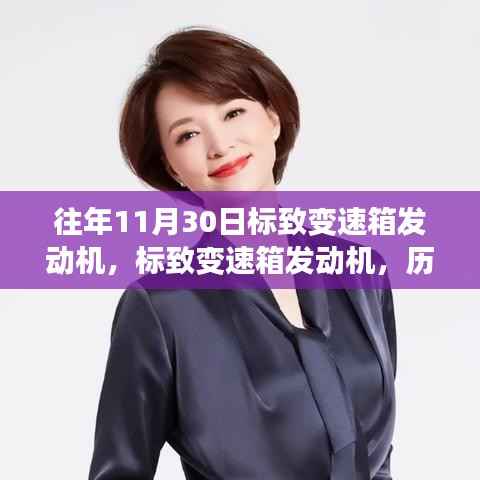 往年11月30日标致变速箱发动机,历史回眸与领域地位的深度探究