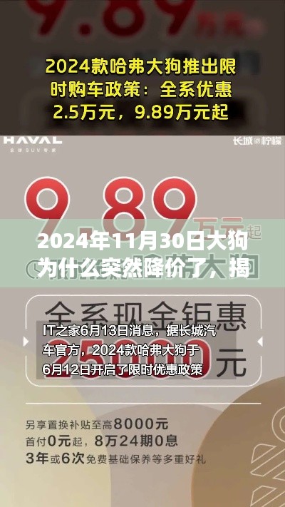 揭秘,大狗价格骤降的背后原因——探究2024年11月30日的降价事件