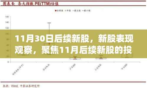 11月30日后续新股,新股表现观察,聚焦11月后续新股的投资价值分析