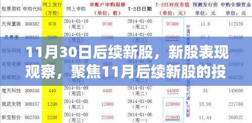 11月30日后续新股,新股表现观察,聚焦11月后续新股的投资价值分析