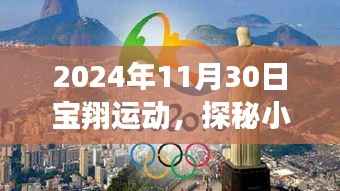 探秘宝翔运动之夜,小巷深处的活力与独特魅力(2024年11月30日)