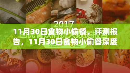 11月30日食物小偷餐评测报告,深度解析与体验分享