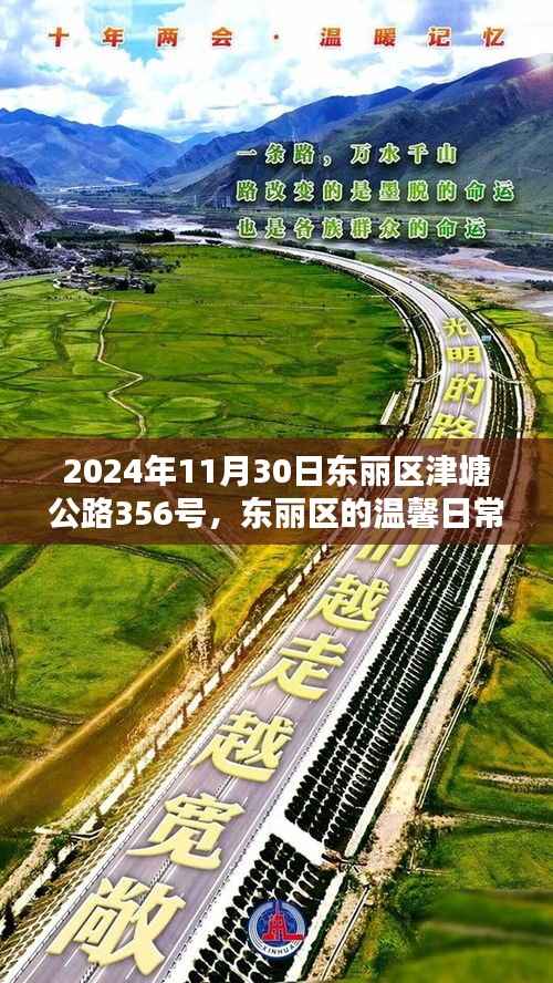 东丽区津塘公路上的温馨日常与欢乐时光(2024年11月30日)