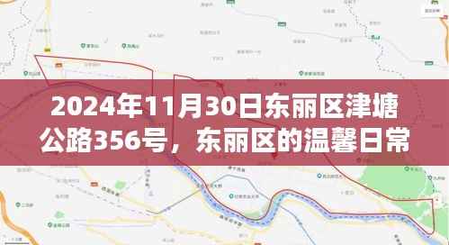 东丽区津塘公路上的温馨日常与欢乐时光(2024年11月30日)