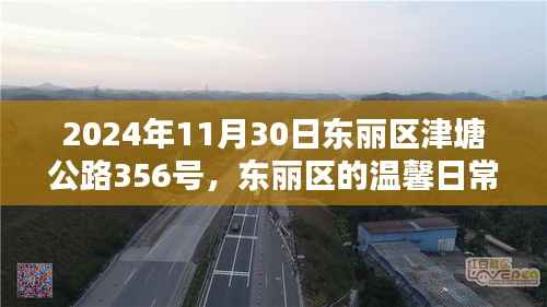东丽区津塘公路上的温馨日常与欢乐时光(2024年11月30日)