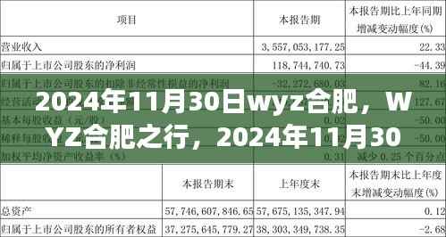 2024年11月30日WYZ合肥之行，活动全攻略，适合初学者与进阶用户