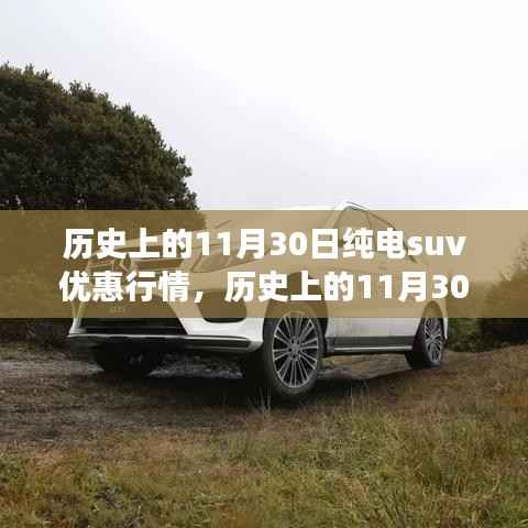 历史上的11月30日纯电SUV优惠行情,绿色征途中的心灵之旅