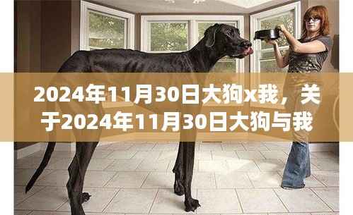 我与大狗在2024年11月30日的科普奇遇之旅