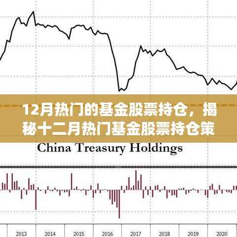 揭秘十二月热门基金股票持仓策略,投资大师的选择与布局之道