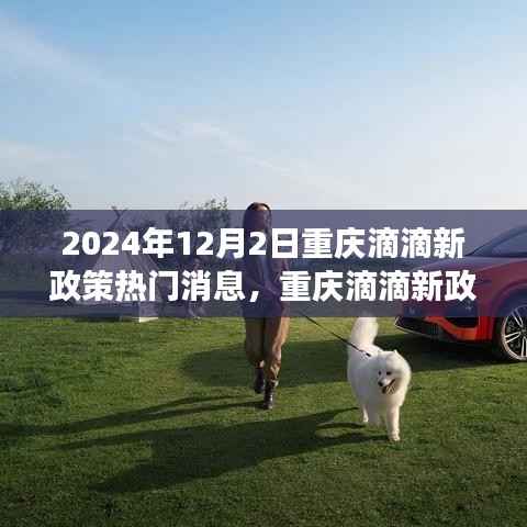 重庆滴滴新政策下的惊喜出行故事,温馨出行,惊喜不断(2024年热门消息)