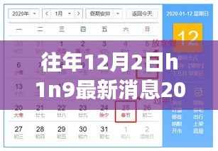 寻找内心平静,H1N9最新消息下的自然之旅,探索奇妙探险之旅