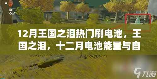 王国之泪十二月电池能量探索,秘密之旅与自然的秘密