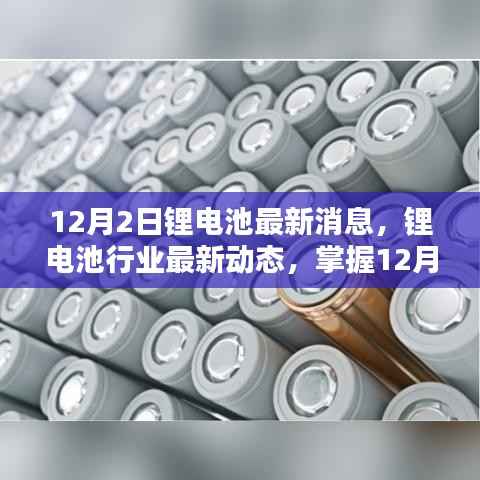掌握最新动态,锂电池行业消息速递与技术入门应用解析