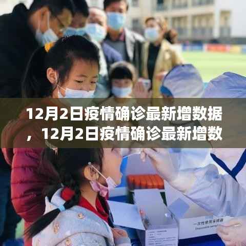 12月2日疫情最新确诊数据全面解析与深度介绍