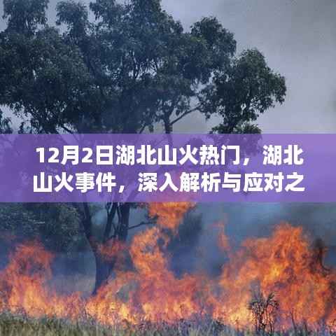 湖北山火事件深度解析与应对策略,12月2日热点聚焦