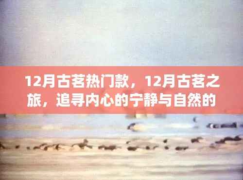 追寻内心的宁静与自然魔法,古茗热门款十二月之旅