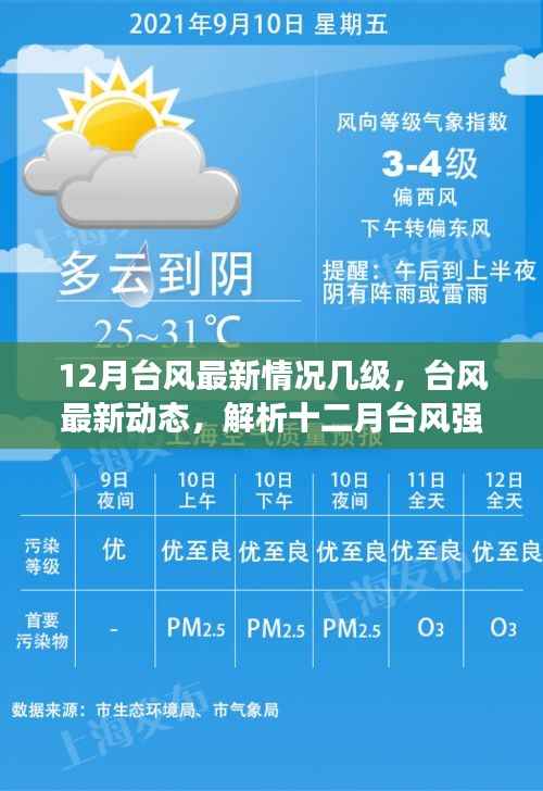 十二月台风最新动态,强度、等级与影响分析