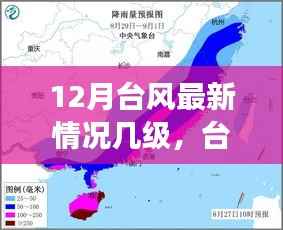 十二月台风最新动态,强度、等级与影响分析