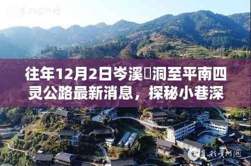 岑溪糥洞至平南四灵公路沿线惊喜小店纪实,探寻小巷独特风味与最新动态