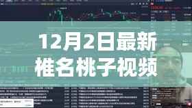 建议,揭秘椎名桃子最新视频内容,深度解析与体验全揭秘。