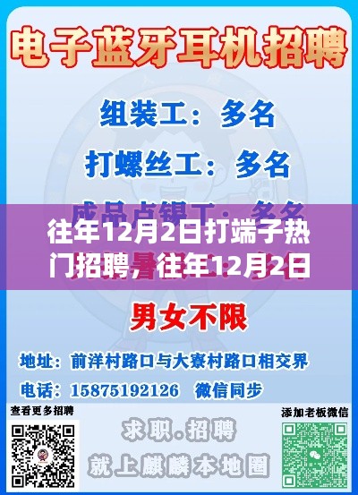 往年12月2日打端子热门招聘活动全景解析与产品评测