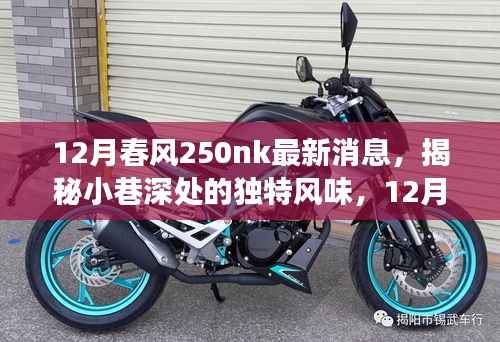 揭秘小巷深处的独特风味，探寻隐藏的美食天堂与最新春风250nk消息