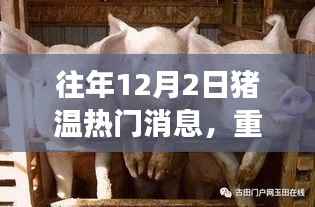 重磅升级!智能猪温监测神器引领畜牧业革新之旅,历年猪温热门消息回顾与全新体验