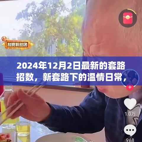 揭秘2024年12月2日最新套路,温情日常的奇妙经历