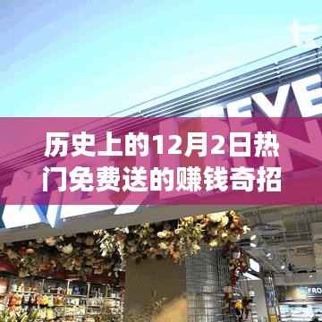 揭秘历史上的免费赚钱奇招,揭秘背后的智慧解读在十二月二日这一天揭晓!
