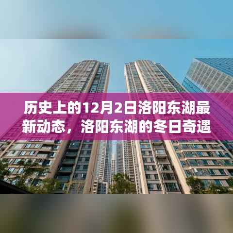 洛阳东湖冬日奇遇，12月2日暖阳下的故事与历史新篇章