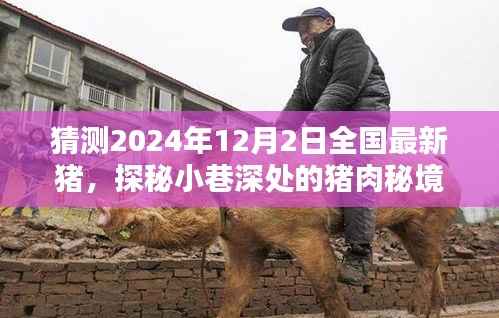 探秘猪肉秘境，预测2024年12月全国最新猪肉行情与风味揭秘