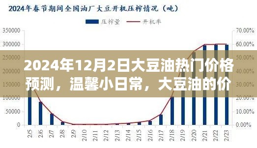 大豆油价格预测与家的温馨时光,揭秘大豆油价格秘密与日常关联