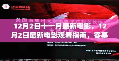 12月2日最新电影观看指南，零基础观影教程
