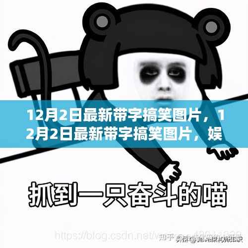 最新带字搞笑图片大放送,娱乐与艺术完美融合