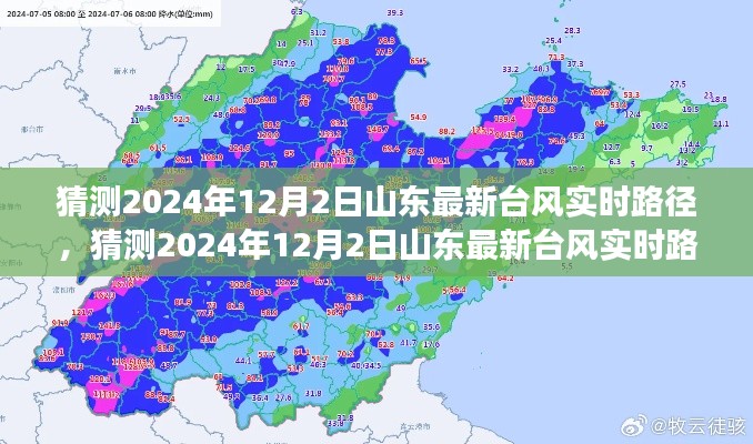 深度解读与预测,山东台风实时路径预测及影响分析——以2024年12月2日为例
