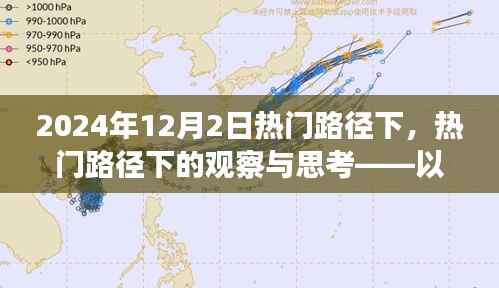 2024年12月2日热门路径观察与深度思考，探寻背后的趋势与启示