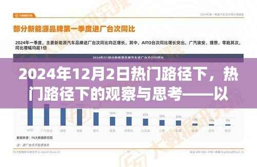 2024年12月2日热门路径观察与深度思考,探寻背后的趋势与启示