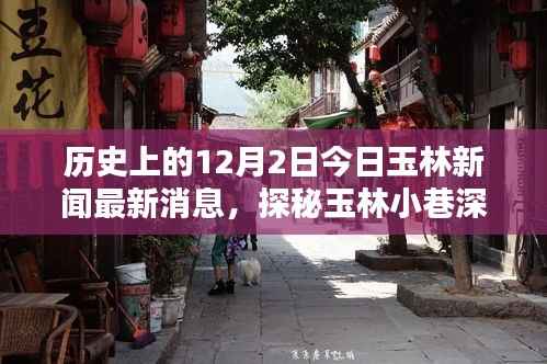 探秘玉林小巷深处的独特风味,历史中的特色小店揭秘——今日玉林新闻最新消息(12月2日)