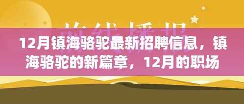 镇海骆驼最新招聘启幕，职场奇遇与友情的温暖新篇章（12月）