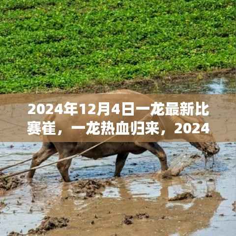 一龙热血归来,赛场上的不败传奇,最新比赛预告(日期,2024年12月4日)