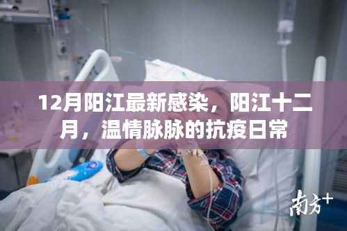 阳江十二月温情抗疫日常,最新感染情况关注与记录