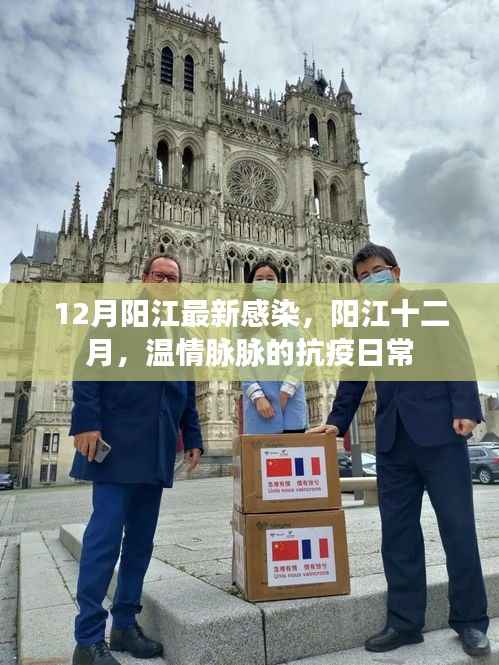 阳江十二月温情抗疫日常,最新感染情况关注与记录