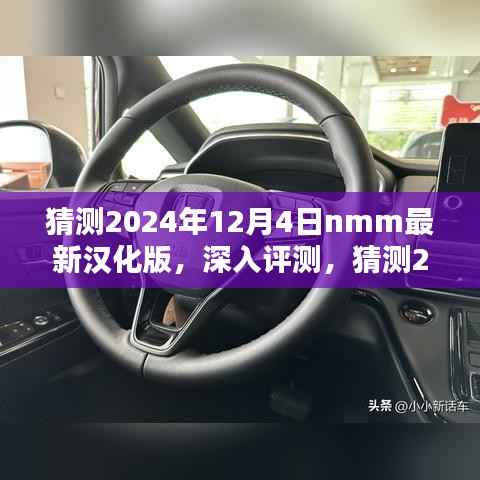 深入评测，猜测2024年12月4日最新NMM汉化版的全面解析与使用体验