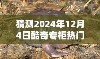 探秘与预测,2024年酷奇专柜独家热门款,小巷风尚引领潮流猜测